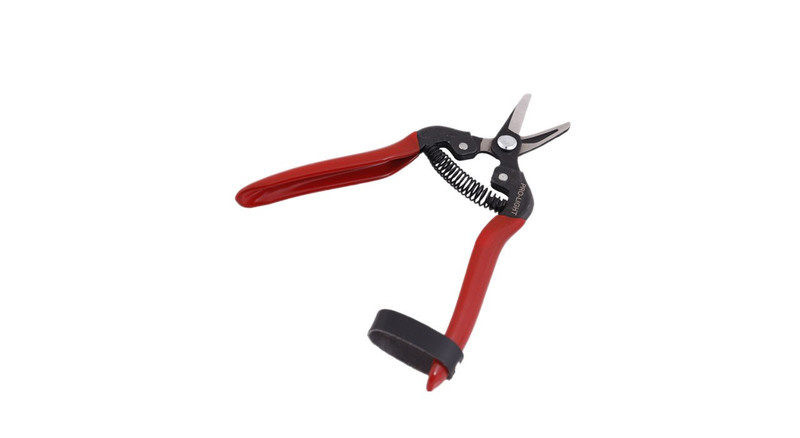 قیچی میوه چینی لایت مدل JH-803B1 قیچی میوه چینی لایت مدل JH-803B1