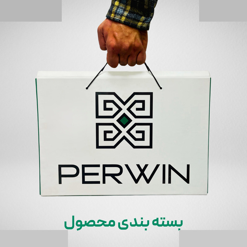 کیف لپ تاپ پِروین مدل زَربین مناسب برای لپ تاپ 16 اینچی کیف لپ تاپ پِروین مدل زَربین مناسب برای لپ تاپ 16 اینچی