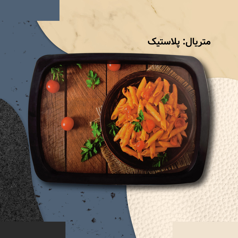 سینی مهروز مدل SE-2004 سینی مهروز مدل SE-2004