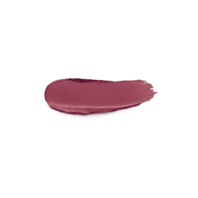رژ لب جامد مات کیکو میلانو مدل velvet passion شماره 344 رژ لب جامد مات کیکو میلانو مدل velvet passion شماره 344