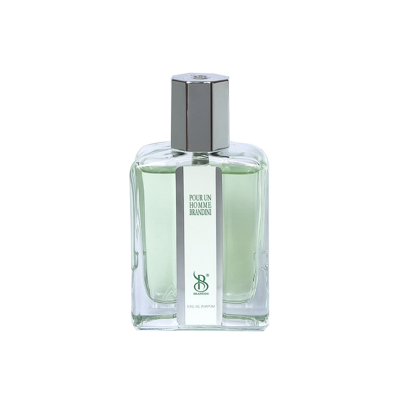 عطر جیبی مردانه برندینی مدل PourUn حجم 33 میلی لیتر عطر جیبی مردانه برندینی مدل PourUn حجم 33 میلی لیتر