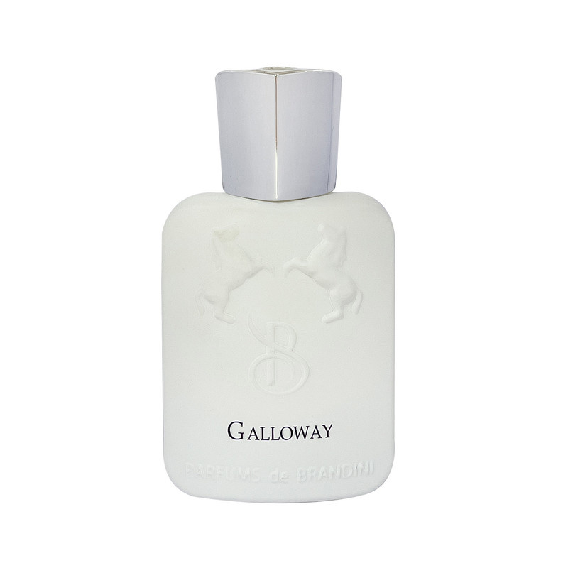 عطر جیبی برندینی مدل Galloway حجم 33 میلی لیتر عطر جیبی برندینی مدل Galloway حجم 33 میلی لیتر
