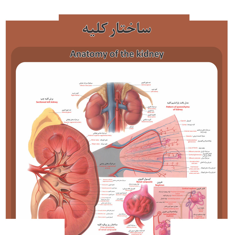 جعبه کمک های اولیه حفاظ ابزار مدل 1206 جعبه کمک های اولیه حفاظ ابزار مدل 1206