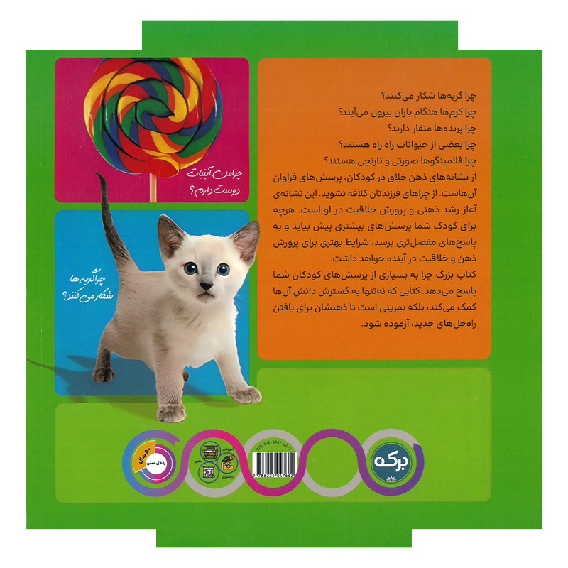 کتاب چرا 2 سوالات شگفت انگیز دنیا اثر ایمی شیلدز ترجمه عرشیا عالی نژاد نشر برکه کتاب چرا 2 سوالات شگفت انگیز دنیا اثر ایمی شیلدز ترجمه عرشیا عالی نژاد نشر برکه