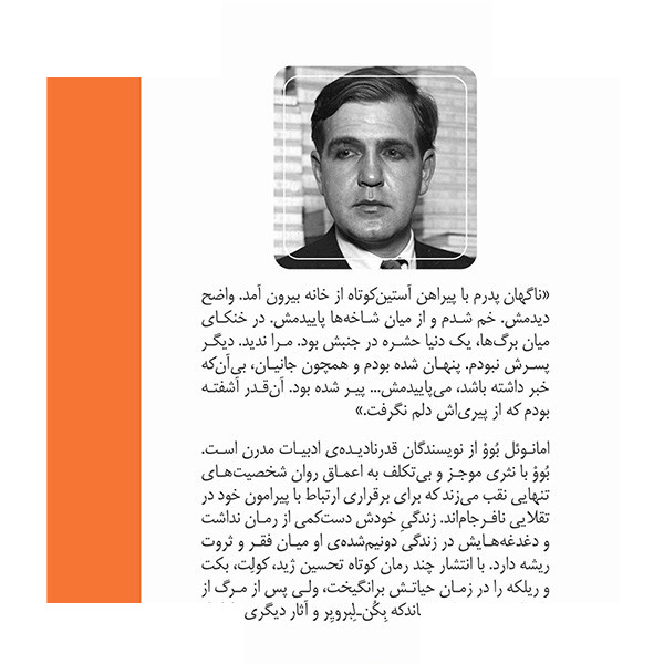کتاب بازگشت فرزند و بکن-لبرویر اثر امانوئل بوو ترجمه قاسم مومنی نشر ماهی