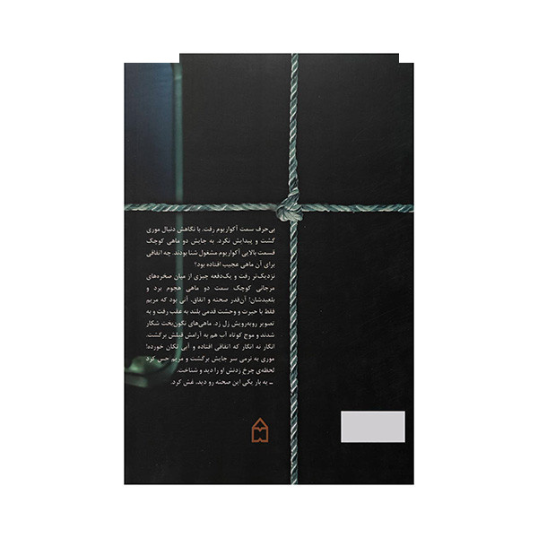 کتاب تردستی اثر الناز محمدی انتشارات سخن کتاب تردستی اثر الناز محمدی انتشارات سخن