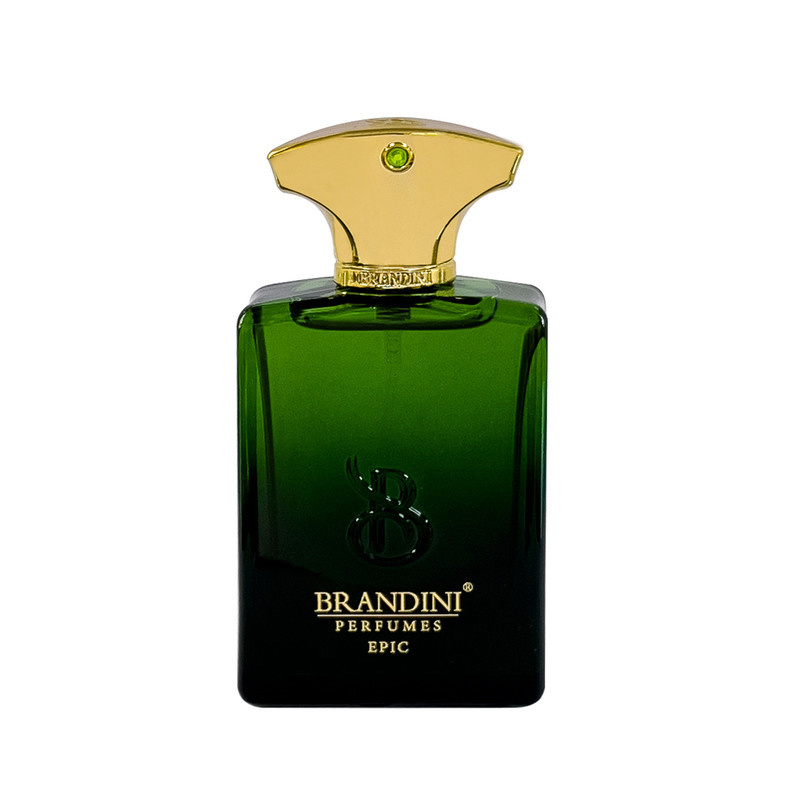 عطر جیبی مردانه برندینی مدل Epic حجم 33 میلی لیتر عطر جیبی مردانه برندینی مدل Epic حجم 33 میلی لیتر