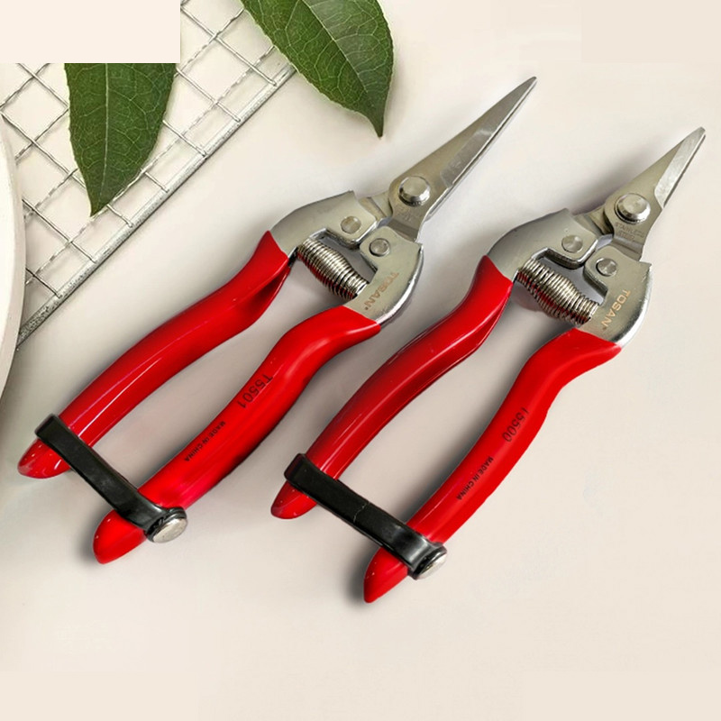 قیچی میوه چین سرکج کوتاه توسن مدل T5500 سایز 6.5 اینچ