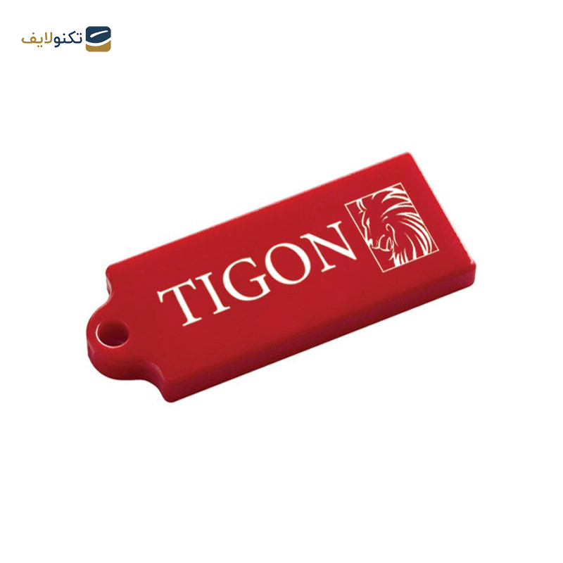 فلش مموری تایگون مدل P110 ظرفیت 16 گیگابایت