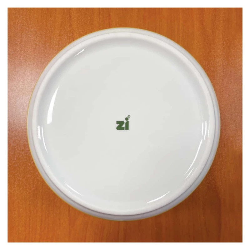 بشقاب غذاخوری زی مدل تخت 24 درجه يك بسته 6 عددي