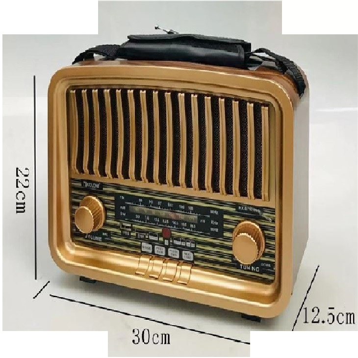 رادیو گولون مدل RX-BT929SQ