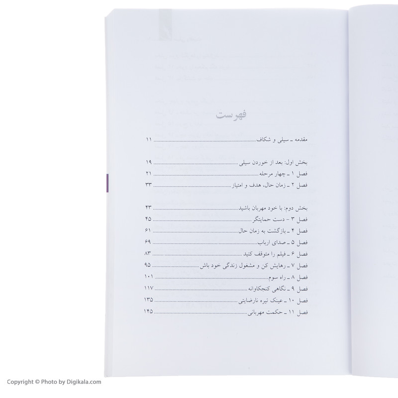 کتاب سیلی واقعیت اثر راس هریس کتاب سیلی واقعیت اثر راس هریس