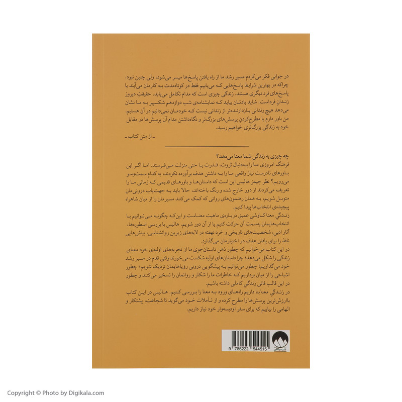 کتاب زندگی معنا اثر جیمز هالیس نشر میلکان کتاب زندگی معنا اثر جیمز هالیس نشر میلکان