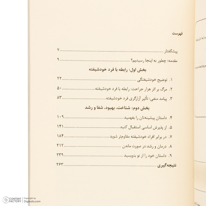 کتاب مقصر تو نیستی اثر رامانی دورواسولا ترجمه مریم مقدم انتشارات کتاب کوله پشتی