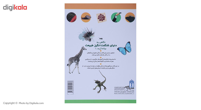 کتاب دایره المعارف من درباره طبیعت اثر کارولین بینگهام،بن مورگان کتاب دایره المعارف من درباره طبیعت اثر کارولین بینگهام،بن مورگان