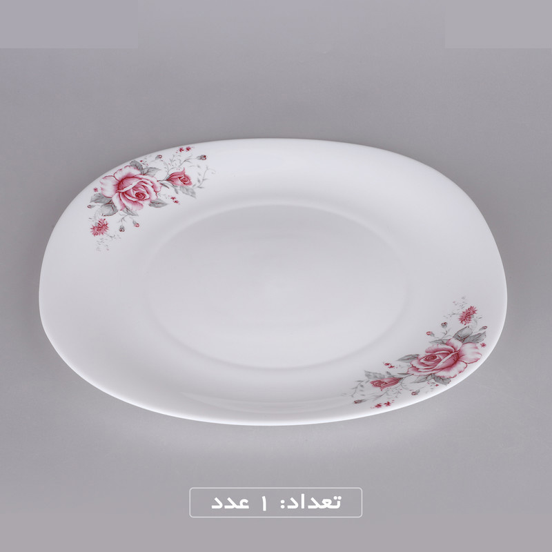 سرویس غذاخوری 25 پارچه گلدن اوپال مدل گلوریا کد Carine سرویس غذاخوری 25 پارچه گلدن اوپال مدل گلوریا کد Carine