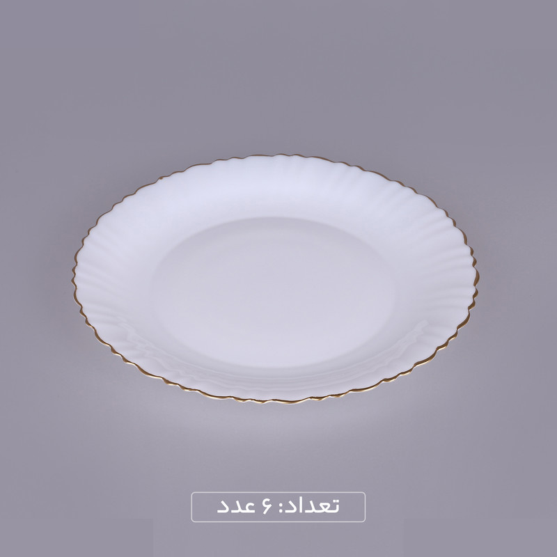سرویس غذاخوری 25 پارچه 6 نفره گلدن اوپال مدل قالب کنگره سرویس غذاخوری 25 پارچه 6 نفره گلدن اوپال مدل قالب کنگره