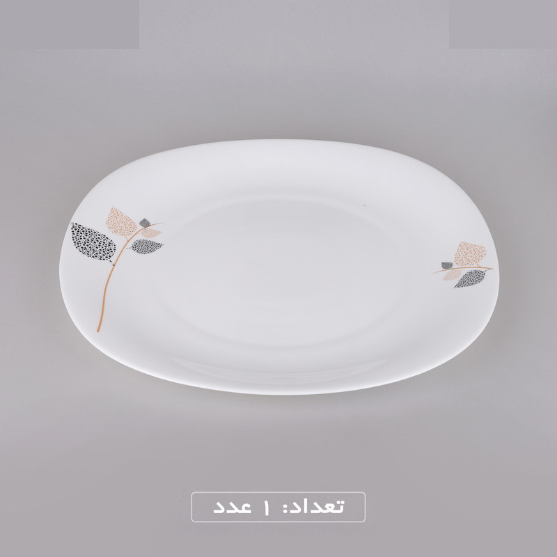 سرویس غذاخوری 25 پارچه 6 نفره گلدن اوپال مدل شاخه نبات کد Carine سرویس غذاخوری 25 پارچه 6 نفره گلدن اوپال مدل شاخه نبات کد Carine