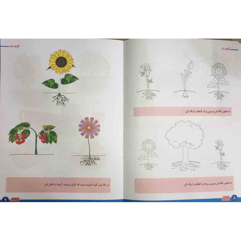 کتاب علوم 3 گیاهان برای کودکان 4 تا 6 سال اثر رویا جوانی انتشارات آبرنگ کتاب علوم 3 گیاهان برای کودکان 4 تا 6 سال اثر رویا جوانی انتشارات آبرنگ