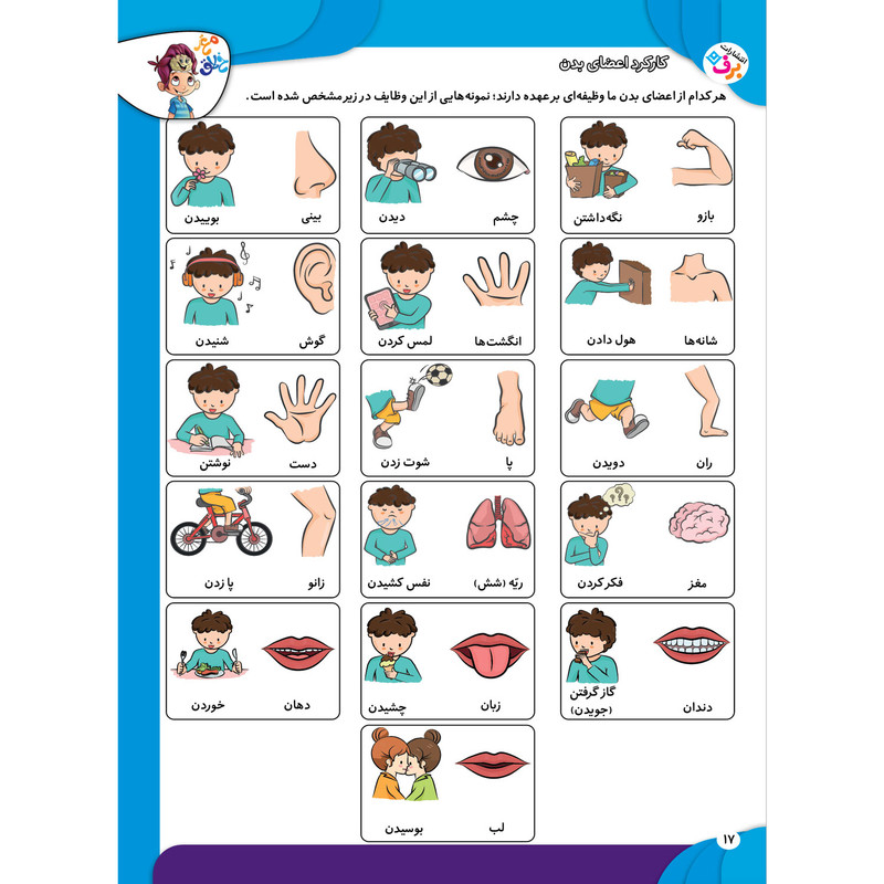 کتاب کار مغز خلاق مفاهیم ۱ میبینم، یاد میگیرم اثر فاطمه قدیانی و مهری عربیه انتشارات برف کتاب کار مغز خلاق مفاهیم ۱ میبینم، یاد میگیرم اثر فاطمه قدیانی و مهری عربیه انتشارات برف
