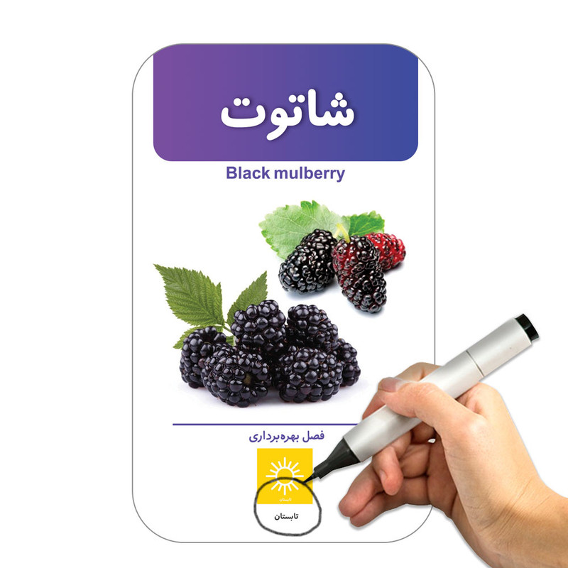 فلش کارت آشنایی با میوهها و سبزیجات انتشارات اندیشه کهن فلش کارت آشنایی با میوهها و سبزیجات انتشارات اندیشه کهن