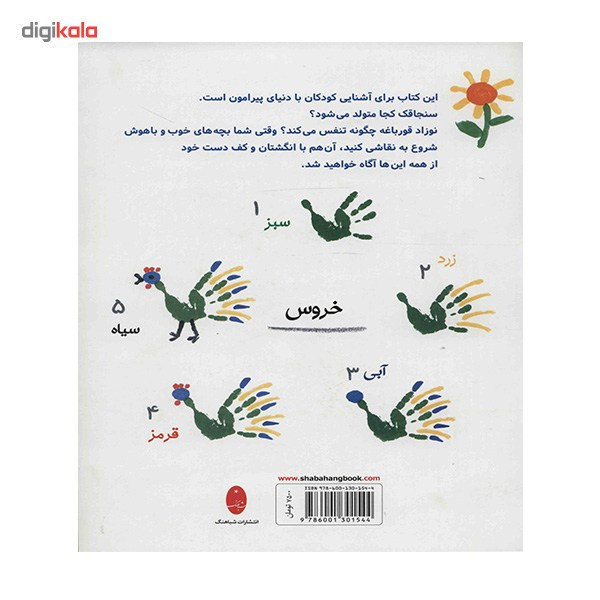 کتاب بازی با رنگ اثر نوربرت پائوتنر کتاب بازی با رنگ اثر نوربرت پائوتنر