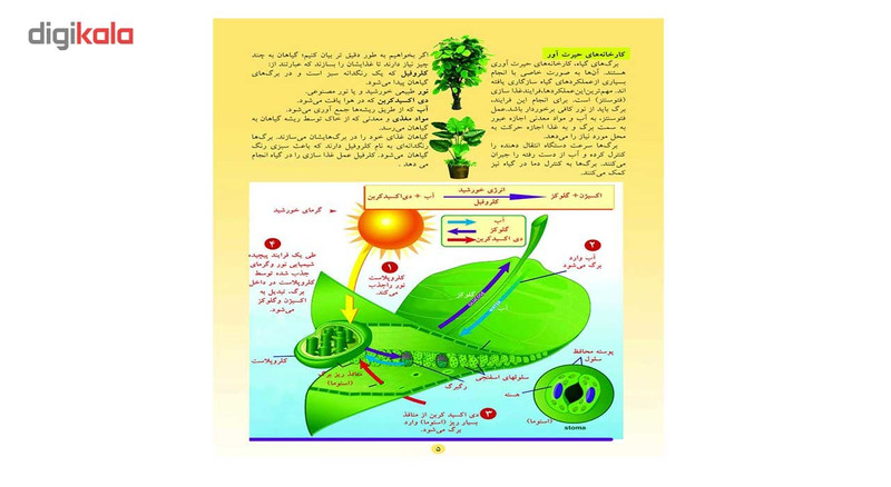 کتاب گیاهان اثر علی ذوالفقاری