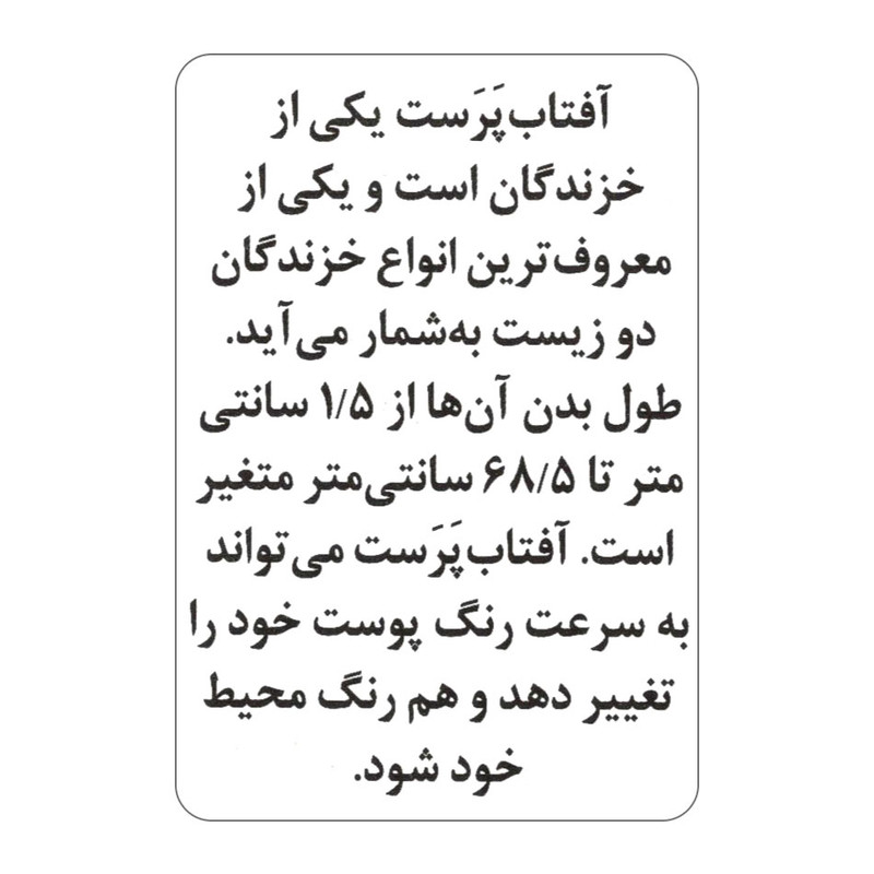 فلش کارت آشنایی با خزندگان و دوزیستان انتشارات جواهری فلش کارت آشنایی با خزندگان و دوزیستان انتشارات جواهری
