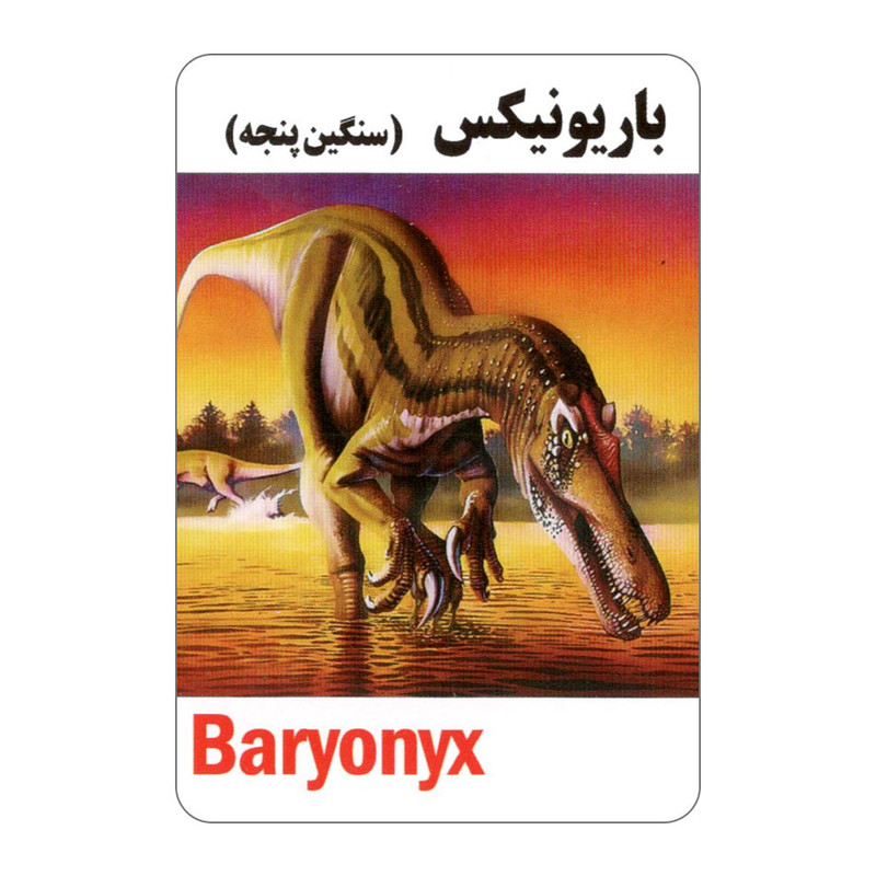 فلش کارت آشنایی با دایناسورها انتشارات جواهری فلش کارت آشنایی با دایناسورها انتشارات جواهری