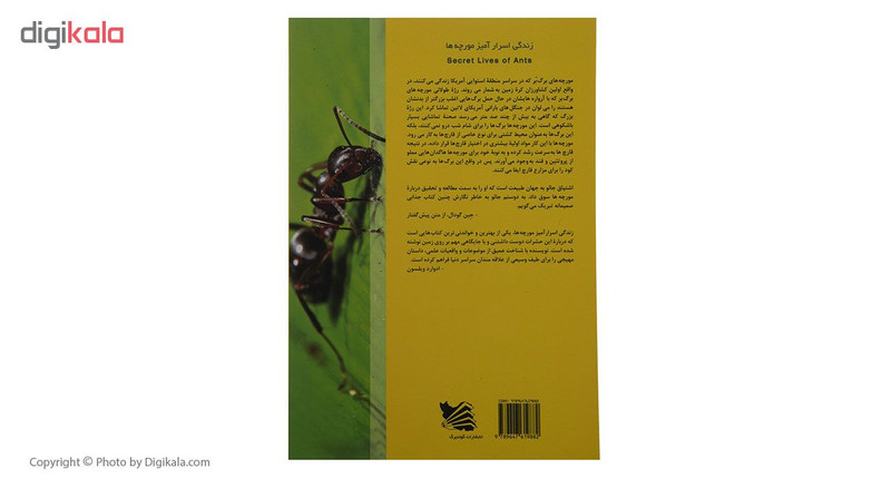 کتاب زندگی اسرار آمیز مورچه ها اثر جاعو چه انتشارات گوتنبرگ کتاب زندگی اسرار آمیز مورچه ها اثر جاعو چه انتشارات گوتنبرگ