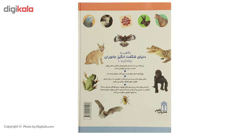 کتاب چراهای شگفت انگیز پوشاک ایرانی اثر رویا خویی کتاب چراهای شگفت انگیز پوشاک ایرانی اثر رویا خویی