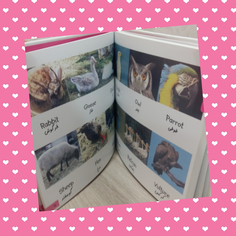 کتاب فرهنگ تصویری لغات انگلیسی اثر زهرا علمی انتشارات بدرقه جاویدان کتاب فرهنگ تصویری لغات انگلیسی اثر زهرا علمی انتشارات بدرقه جاویدان