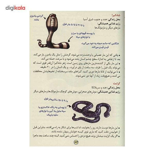 کتاب حیوانات وحشی اثر آنیتا گانری کتاب حیوانات وحشی اثر آنیتا گانری