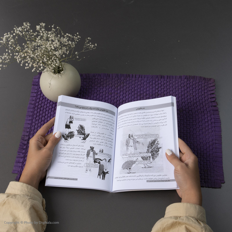کتاب درآمدی بر نظریه تکامل اثر دیلان اونز انتشارات لوگوس کتاب درآمدی بر نظریه تکامل اثر دیلان اونز انتشارات لوگوس