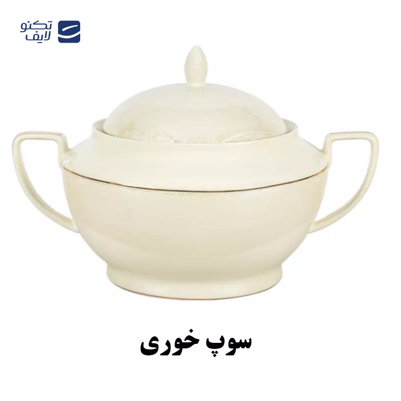 gallery-سرویس غذاخوری نیوبن 36 پارچه چینی پردیس مدل سیاتل رزالیا copy.png