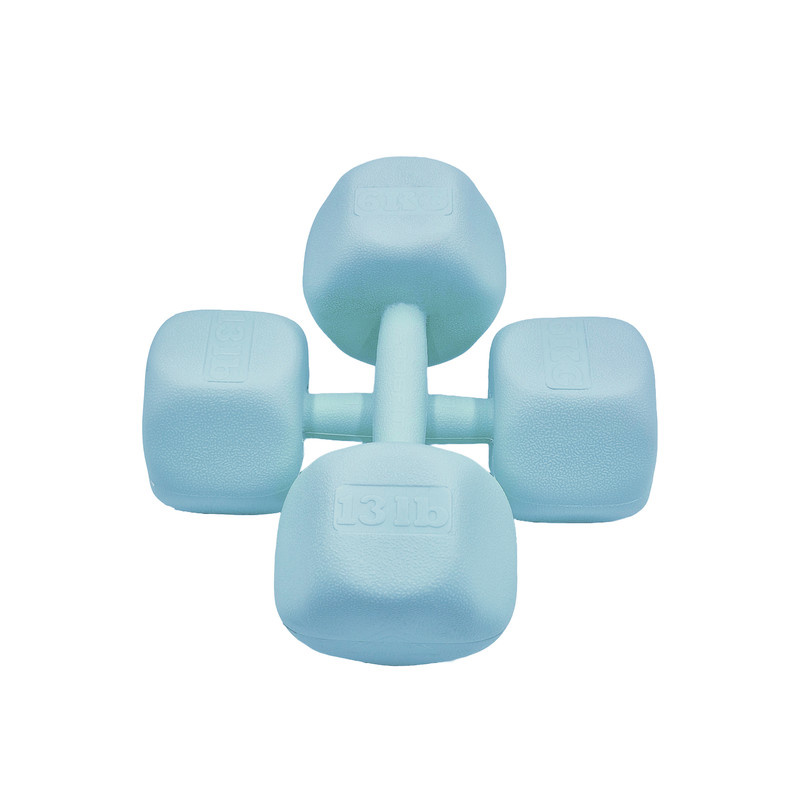 دمبل رادیس فیت مدل RPHF-6000 وزن 6 کیلوگرم بسته دو عددی