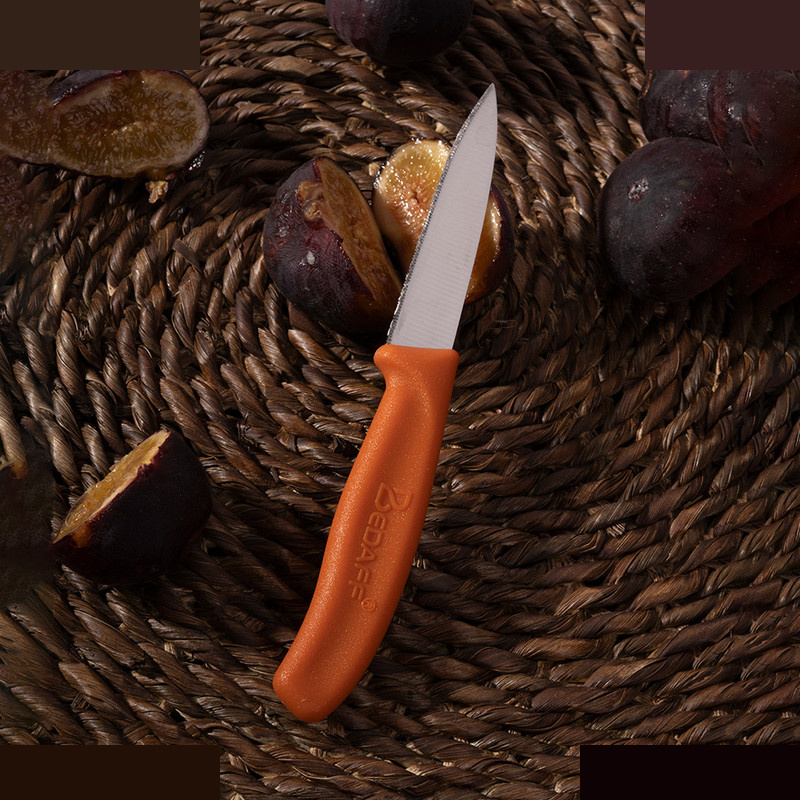 چاقو میوهخوری مدل بداف بسته 6 عددی چاقو میوهخوری مدل بداف بسته 6 عددی