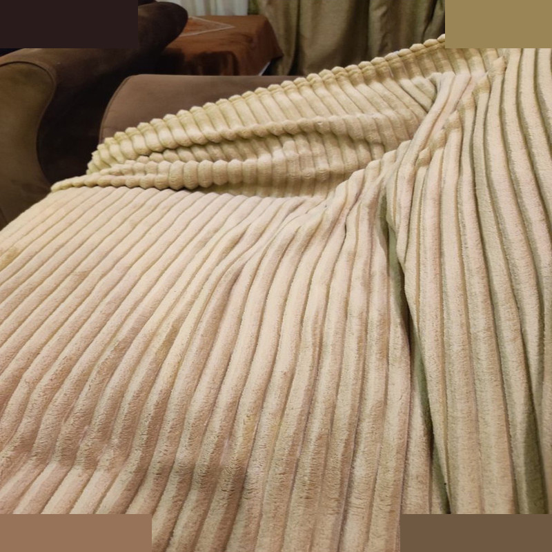 پتو مسافرتی شایسته مدل پلیسه کرکره ای سایز 160x205 سانتی متر پتو مسافرتی شایسته مدل پلیسه کرکره ای سایز 160x205 سانتی متر
