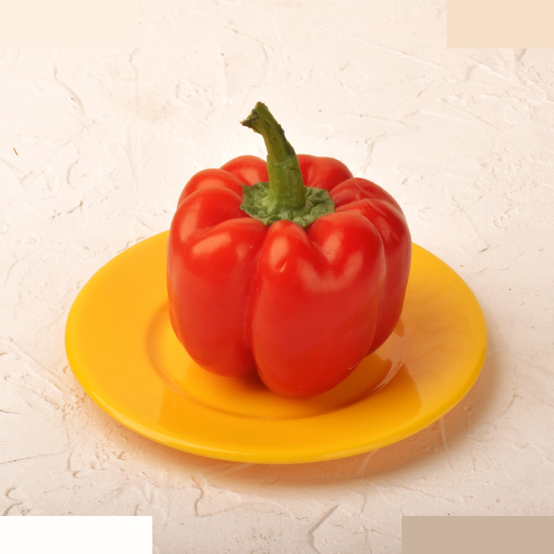 پیش دستی مهروز مدل SE-T412 پیش دستی مهروز مدل SE-T412
