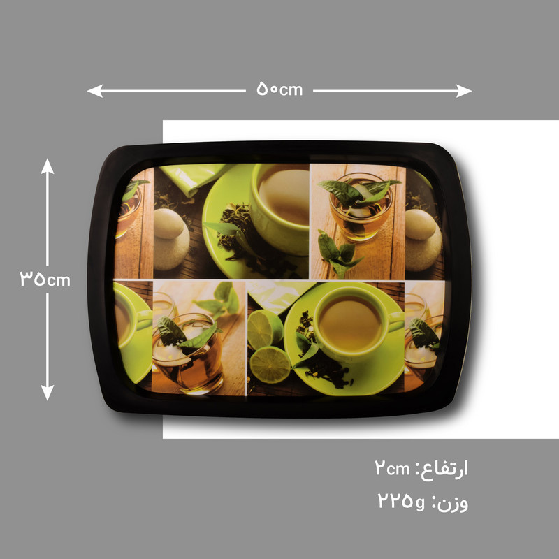 سینی مهروز مدل SE-2004-555 سینی مهروز مدل SE-2004-555