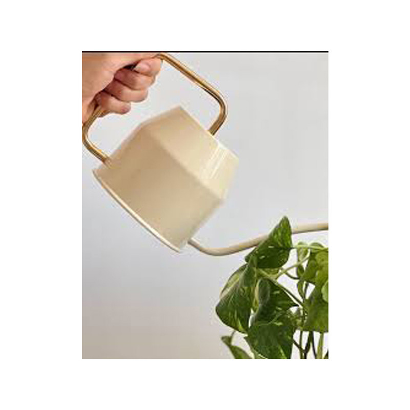 آبپاش دستی سالوت مدل VATTENKERASSE آبپاش دستی سالوت مدل VATTENKERASSE