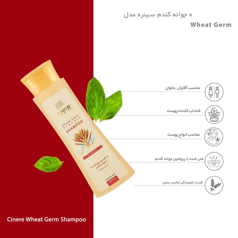 شامپو مو سینره مدل Wheat Germ حجم 250 میلیلیتر شامپو مو سینره مدل Wheat Germ حجم 250 میلیلیتر