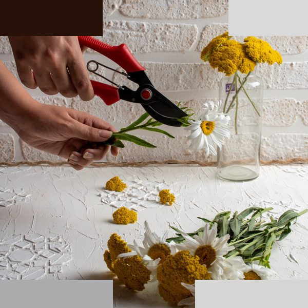قیچی باغبانی دندانهدار مدل BD3170 قیچی باغبانی دندانهدار مدل BD3170