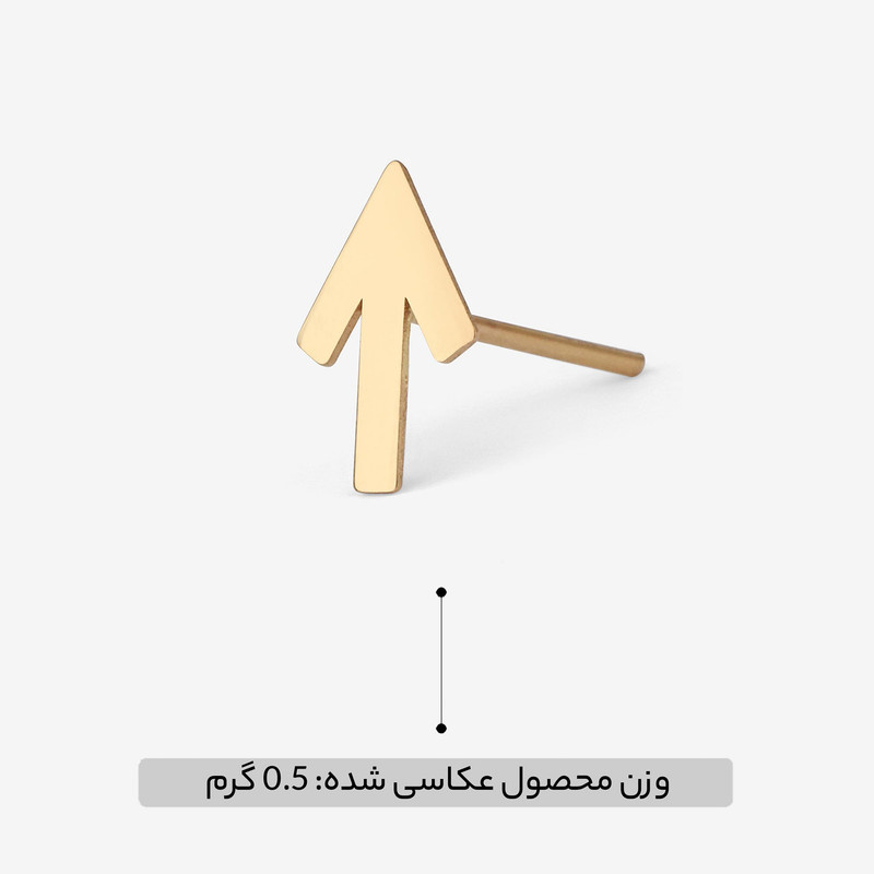 گوشواره میخی طلا 18 عیار زنانه طلای رادا مدل نشان کد rd532 گوشواره میخی طلا 18 عیار زنانه طلای رادا مدل نشان کد rd532