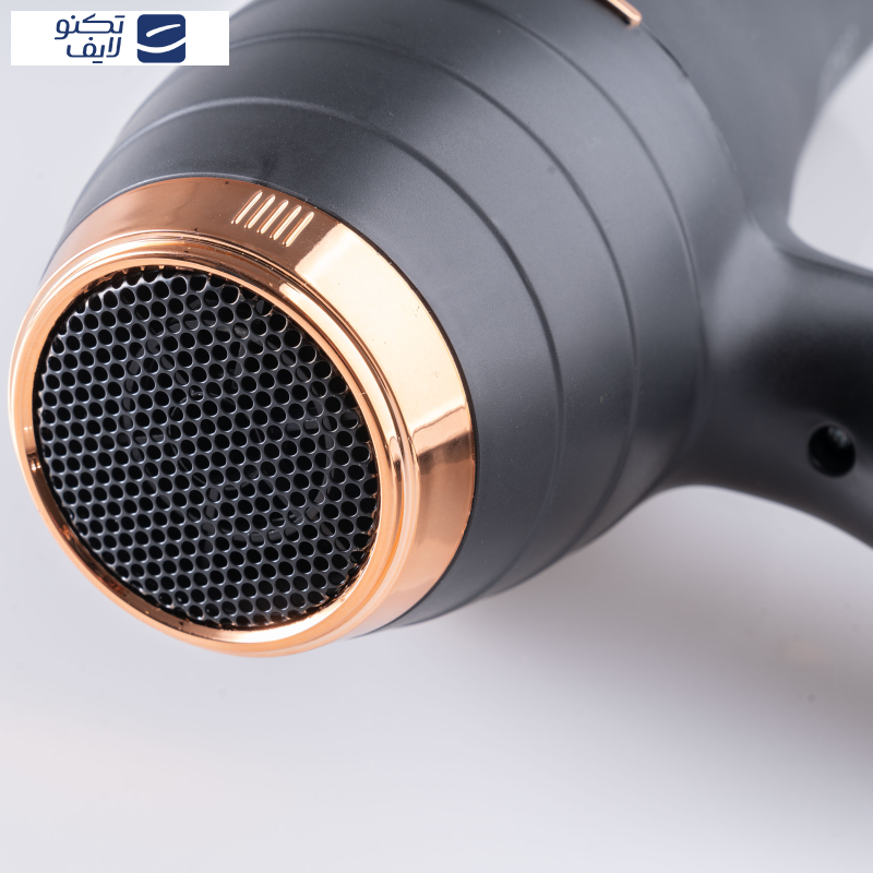 سشوار حرفه ای لایچی مدل L-9010