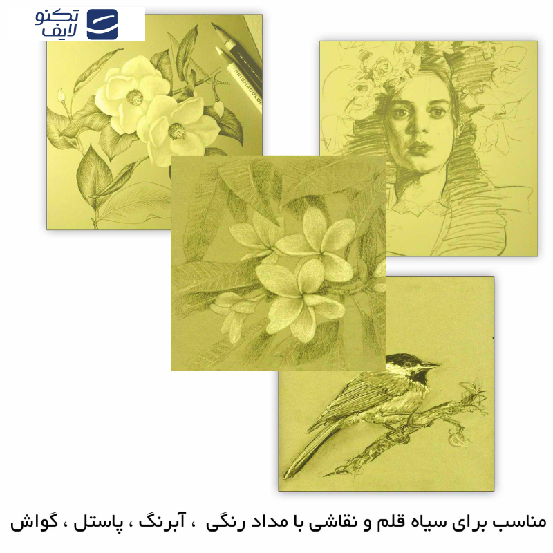 مقوا مستر راد مدل نقاشی کد 1665 سایز 9.5x9.5 سانتیمتر بسته 100 عددی مقوا مستر راد مدل نقاشی کد 1665 سایز 9.5x9.5 سانتیمتر بسته 100 عددی