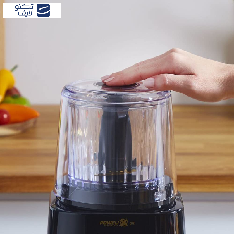 خردکن مولینکس مدل DP8108 خردکن مولینکس مدل DP8108