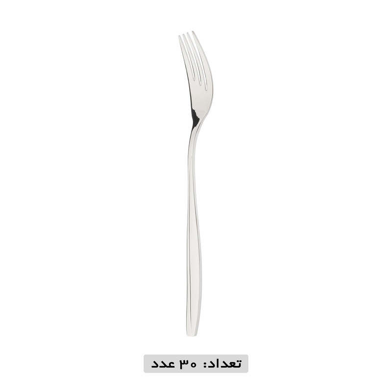 سرویس قاشق و چنگال 119 پارچه نایس بیوتی مدل 261M