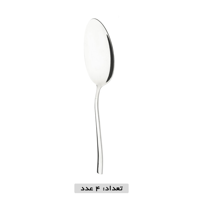 سرویس قاشق و چنگال 119 پارچه نایس بیوتی مدل فلورانس