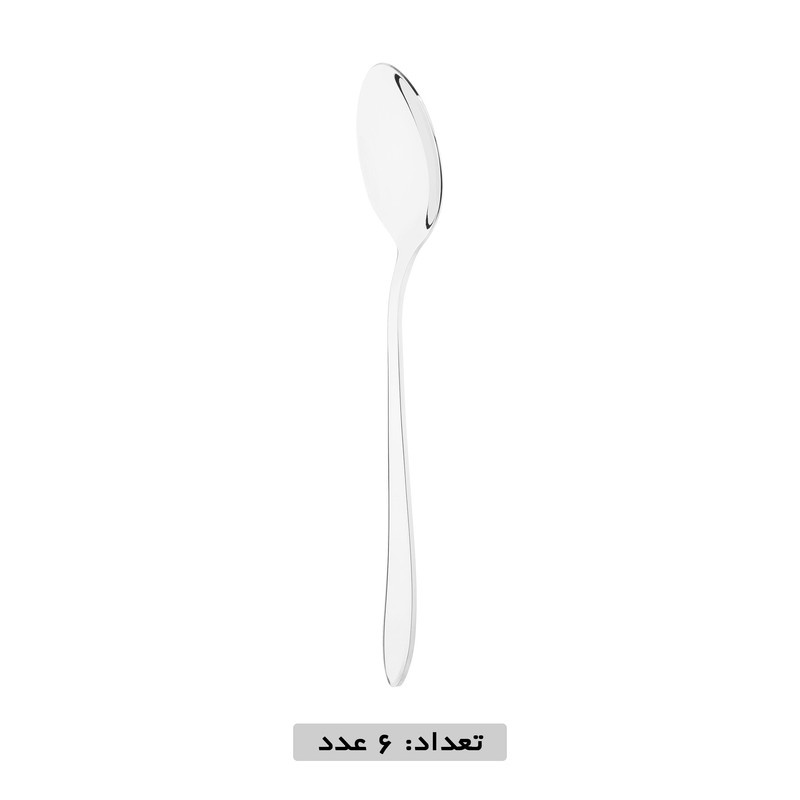 سرویس قاشق و چنگال 12 پارچه نایس بیوتی مدل 111